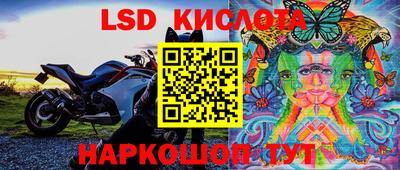 трава Кинель