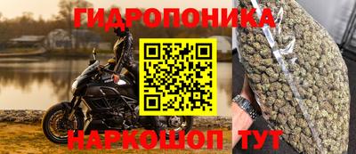 таблы Кингисепп