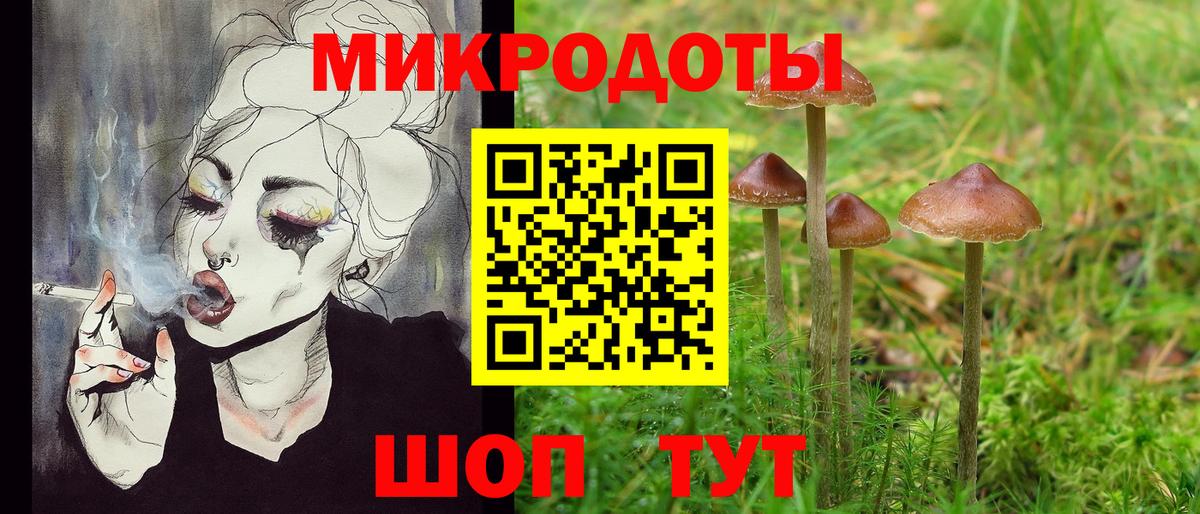 Усть-Джегута  купить наркотики сайты  Вход с VPN  Псилоцибиновые грибы GOLDEN TEACHER 