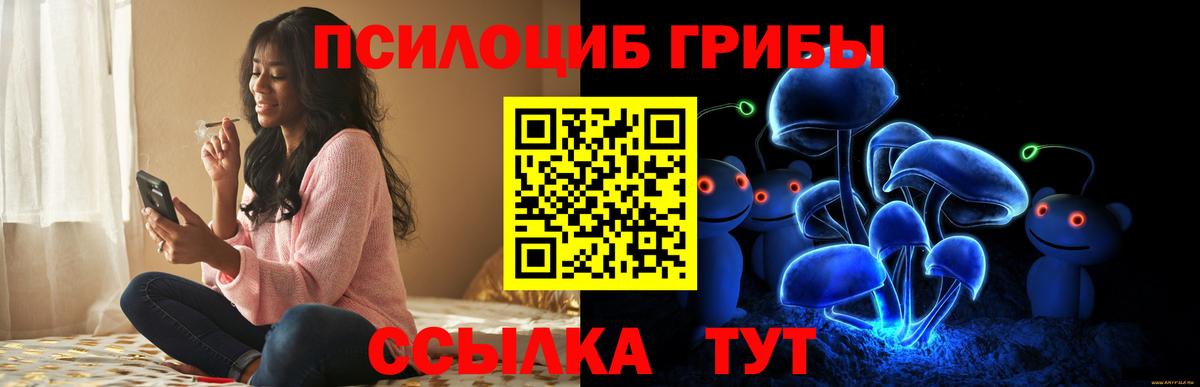 Псилоцибиновые грибы мухоморы Усть-Джегута